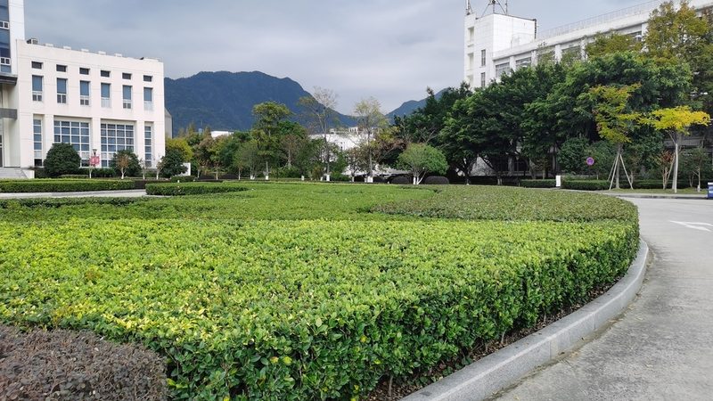 广州绿植租赁公司加盟，如何选择靠谱的合作伙伴？**