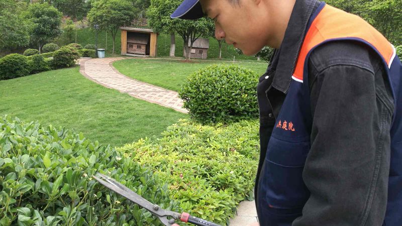揭秘：假山喷泉厂家排名背后的秘密**